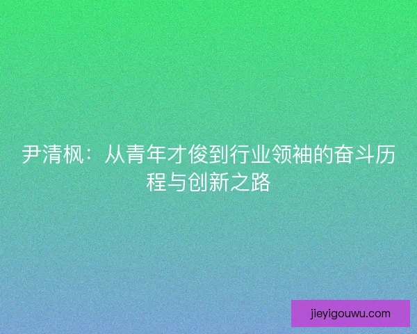 尹清枫:从青年才俊到行业领袖的奋斗历程与创新之路 尹清枫:从青年才俊到行业领袖的奋斗历程与创新之路