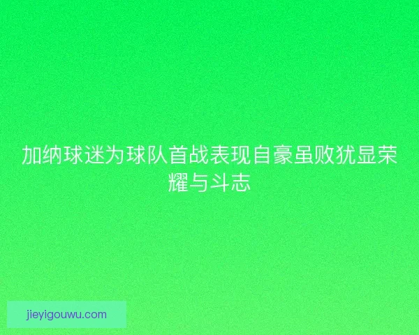 加纳球迷为球队首战表现自豪虽败犹显荣耀与斗志