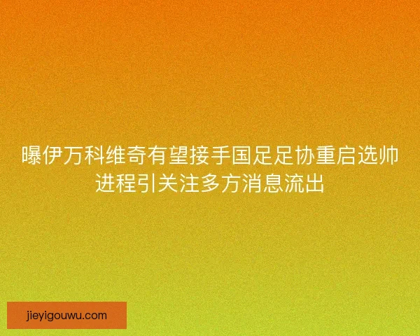 曝伊万科维奇有望接手国足足协重启选帅进程引关注多方消息流出 曝伊万科维奇有望接手国足足协重启选帅进程引关注多方消息流出